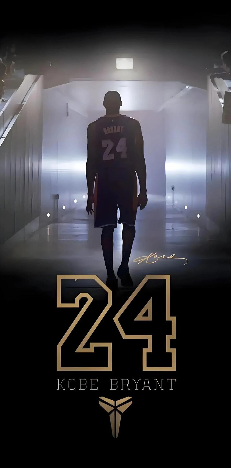 湖人詹姆斯关键封盖锁定胜局（詹姆斯致胜封盖助湖人取胜）